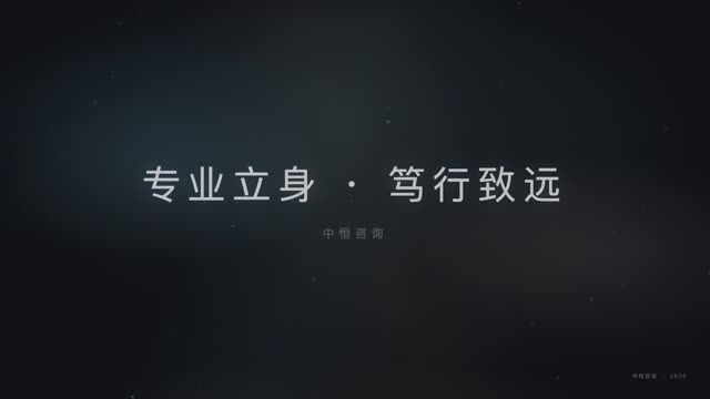 企业商务·年度回顾 效果画面 12