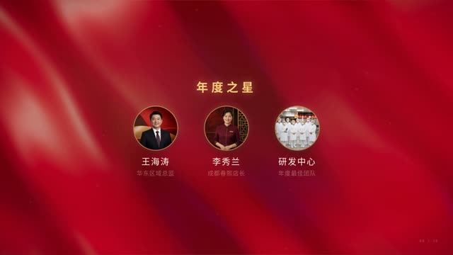 政务汇报·庄重红金 效果画面 9
