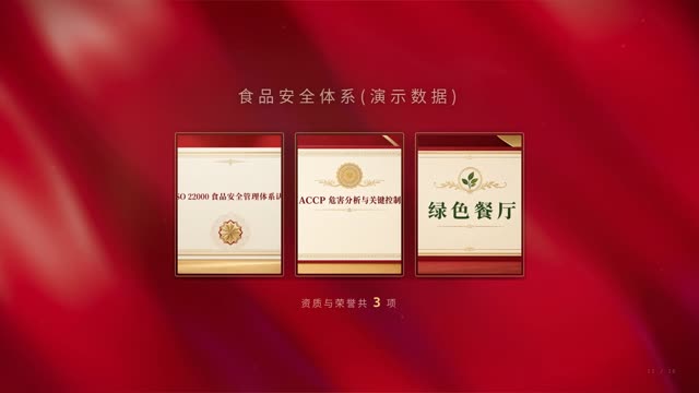 政务汇报·庄重红金 效果画面 12