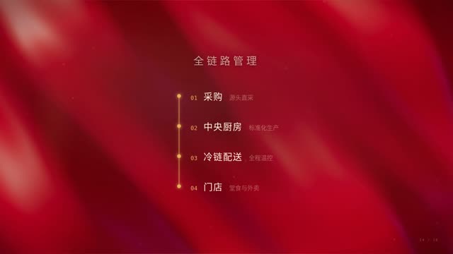 政务汇报·庄重红金 效果画面 15